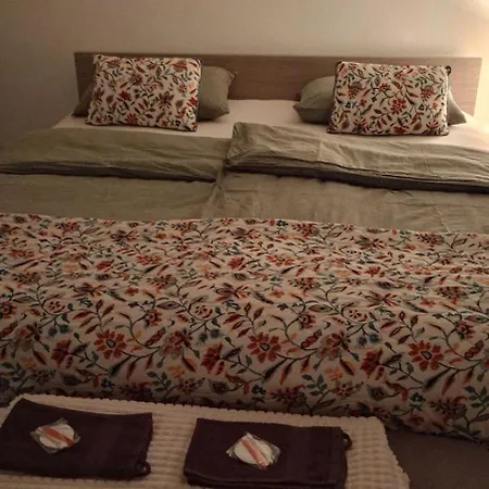 Apartman Danin's
